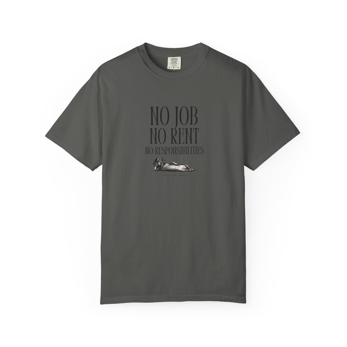 No Job No Rent No Responsibilities T-Shirt
